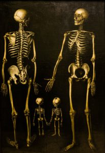 skeletons-238135_1280